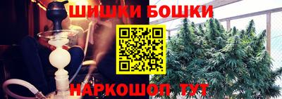mdpv Ачхой-Мартан