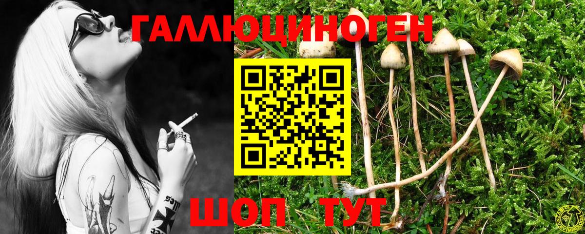 Псилоцибиновые грибы GOLDEN TEACHER  Вход с VPN  Владивосток 
